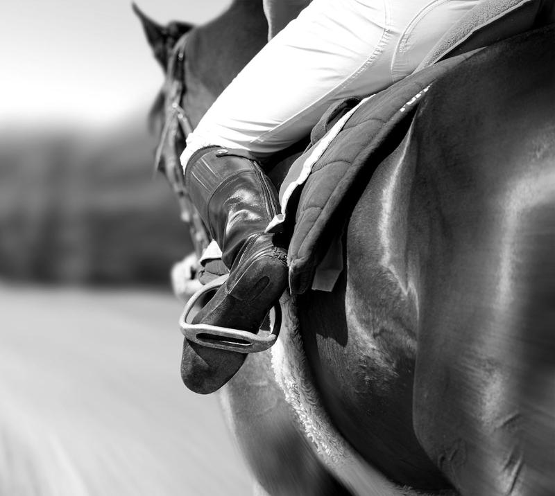 Close up of a jockey on a horse.